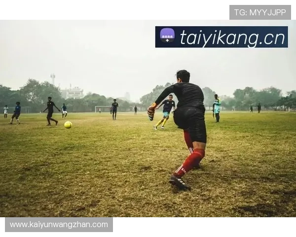 开云体育app下载入口安全可靠，提供多平台多终端一键登录服务指南