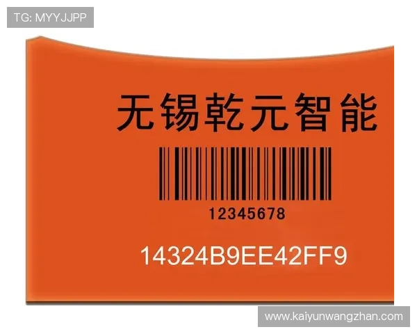 开云体育游戏网址安全保障措施,确保玩家账号信息和资金安全的全面介绍